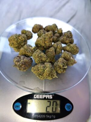 Medical Marijuana for sale in Dubai